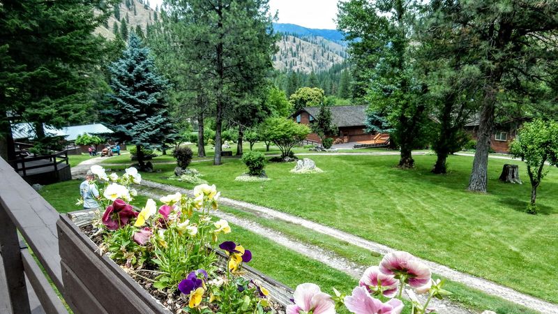 Off-Grid Power, Spring Water, And A Busy Garden