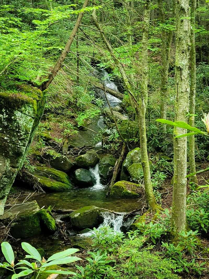 A Gorge That Drops In A Hurry