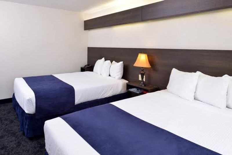 This Made-Over North Idaho Motel Now Has Fire Pits, A Pond Path, And Its Own Dog Run - Decor Hint Smart Booking Tips And Who Will Love It Most