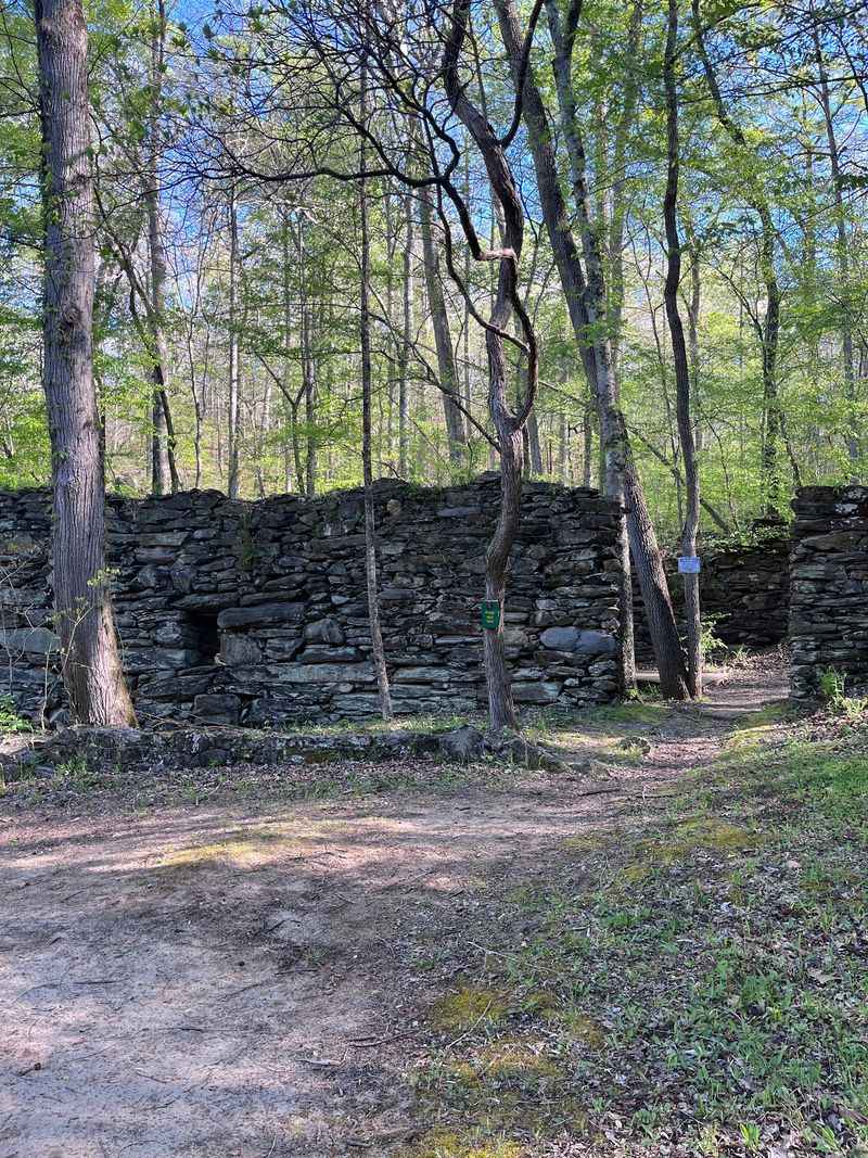 History Hiding Among The Ruins