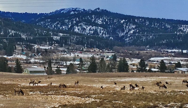 This Idaho Fabric Store Has So Many Batiks, Notions, And Classes That Quilters Make A Monthly Trip From Boise - Decor Hint Getting There, Hours, And A Few Practical Tips