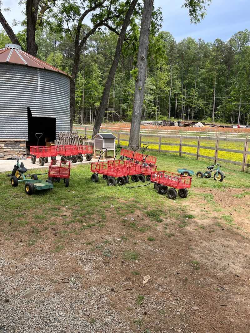 All Aboard For A Bumpy Ride Around The Farm