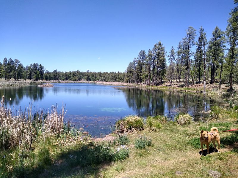 Wildlife, Local Culture, And Historic Sites