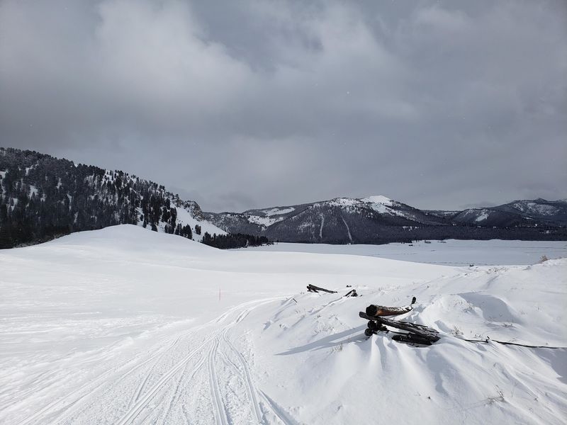 Guided Sled Tours Built For The Whole Crew
