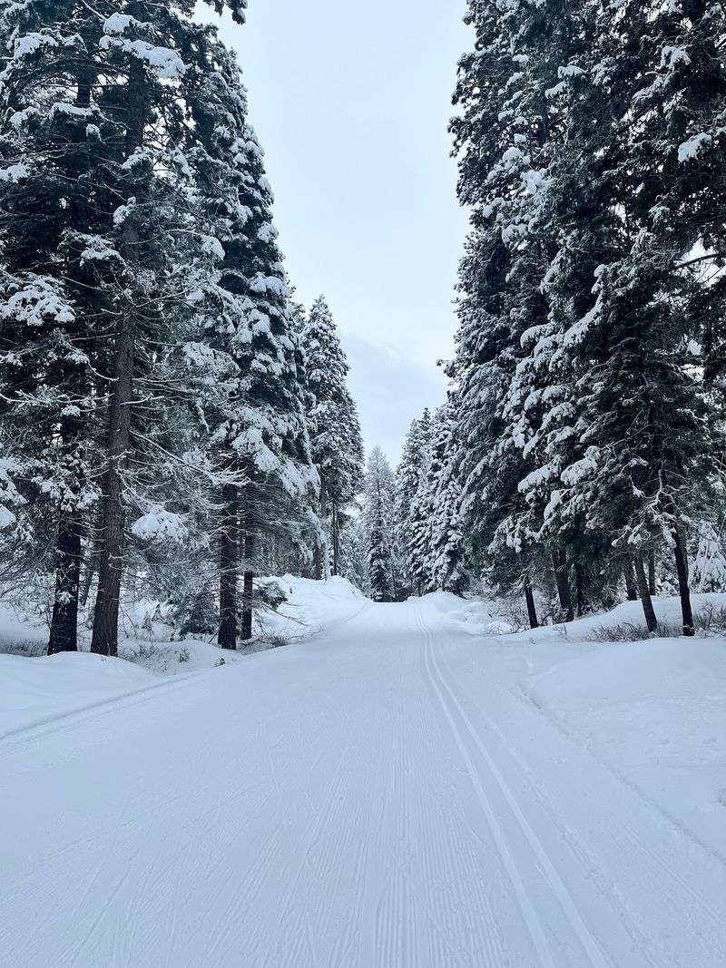 Snowshoes, Skis, And A Winter Hush