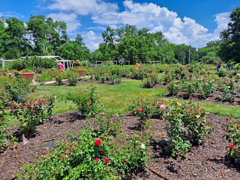 Most People Walk Right Past The Best Part Of This 100-Acre Nebraska Garden - Decor Hint Roses, Japanese Calm, and a Bird Sanctuary