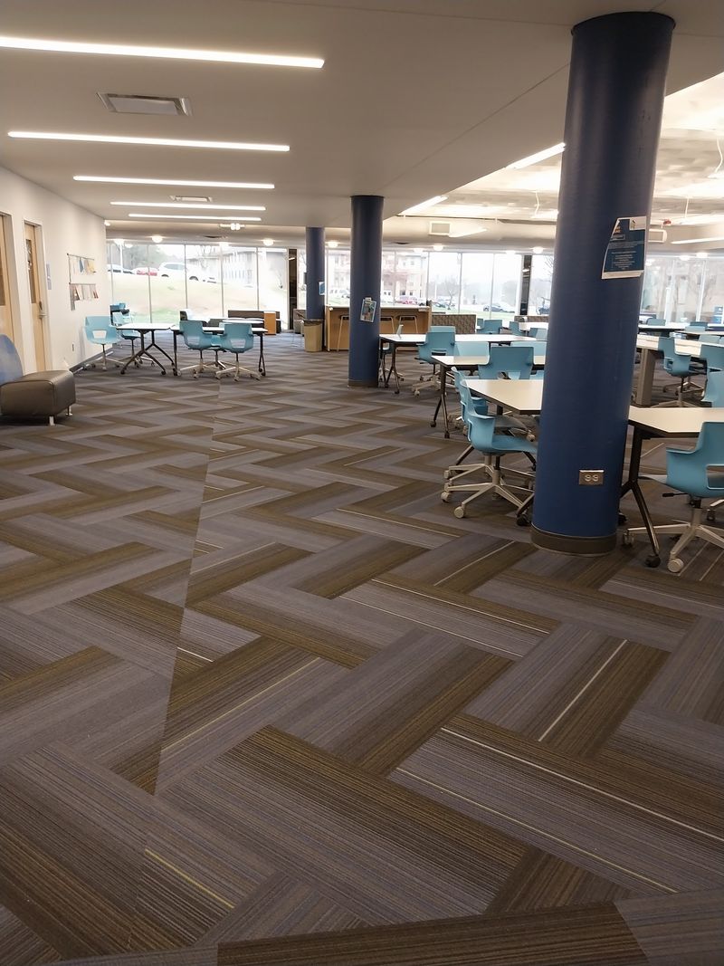 Carpet Started It, Bachelor's Degrees Took It Further
