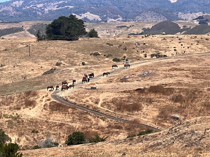 The Ranch Covers Nearly 2,000 Acres