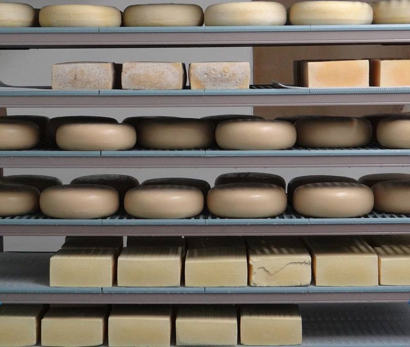 This North Carolina Goat Dairy Produces Some Of The Creamiest Goat Cheese In The State - Decor Hint These Cheesemakers Craft More Than 100,000 Pounds In A Year