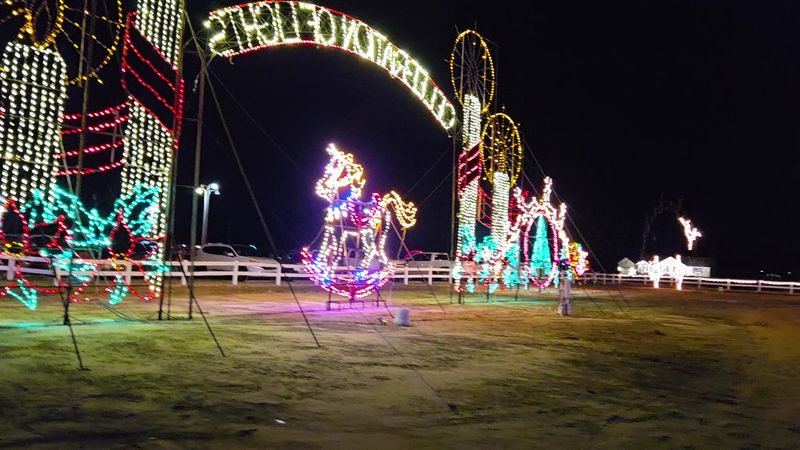 Meadow Lights