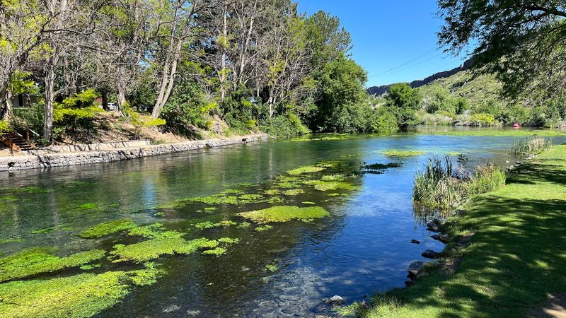 Herons, Eagles, And A Bird Count That Turns Heads