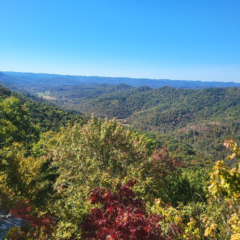 Trails, Forests, And Big Backyard Views