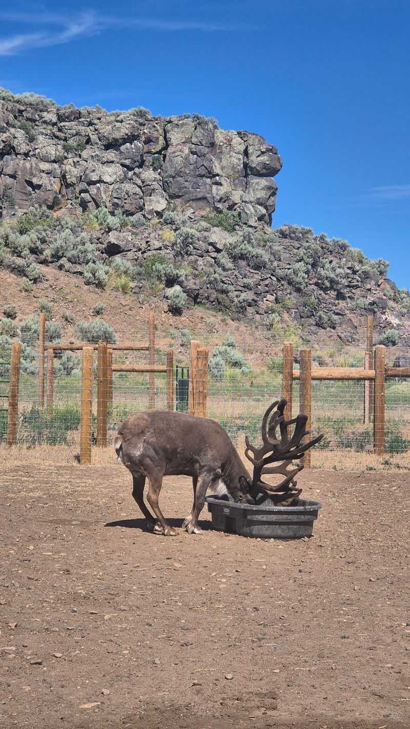 Craters Of The Moon And Sun Valley Make Easy Bookends