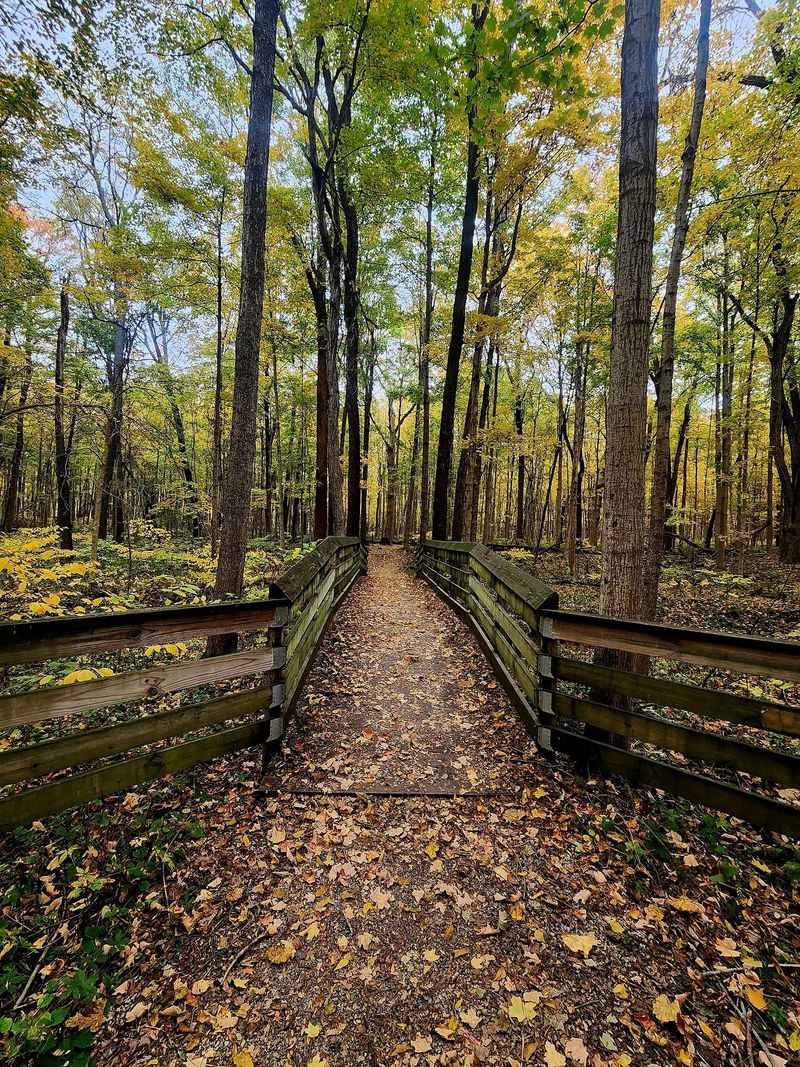 Ritchey Woods Nature Preserve
