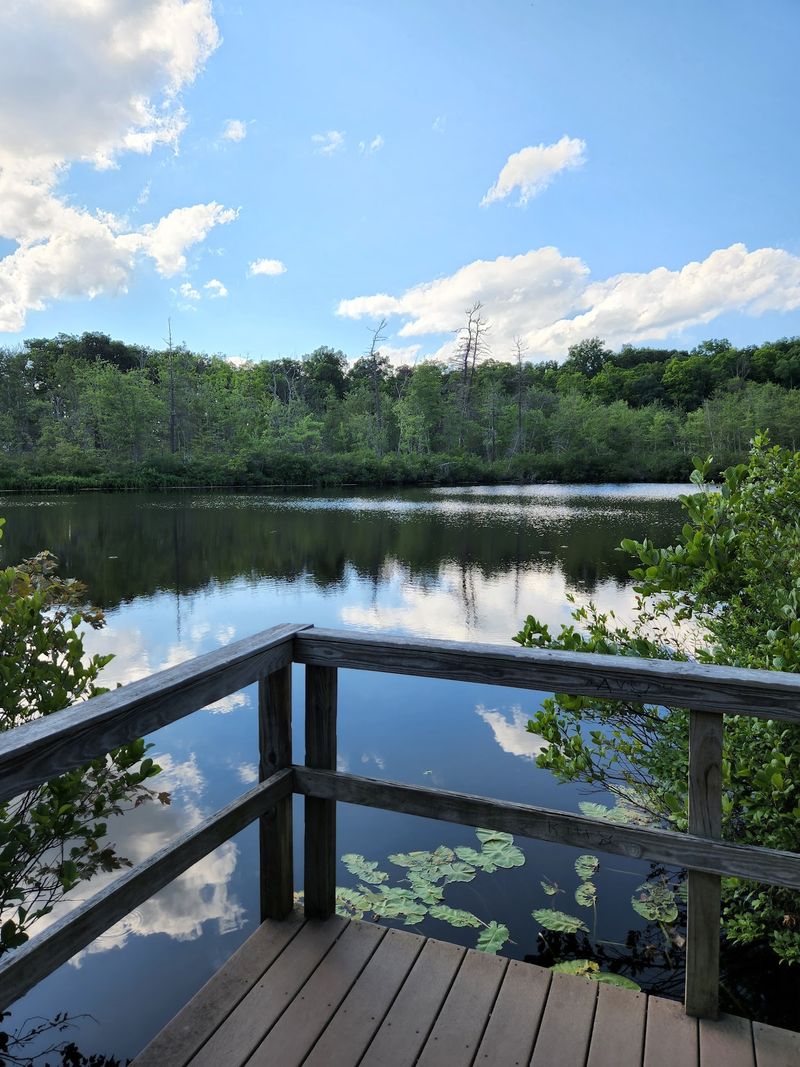 This Nearly 800-Acre Connecticut State Park Feels Almost Completely Forgotten - Decor Hint Keep Your Eyes Up For Eagles And Giant Woodpeckers