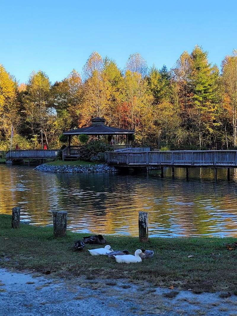 Brevard, Transylvania County