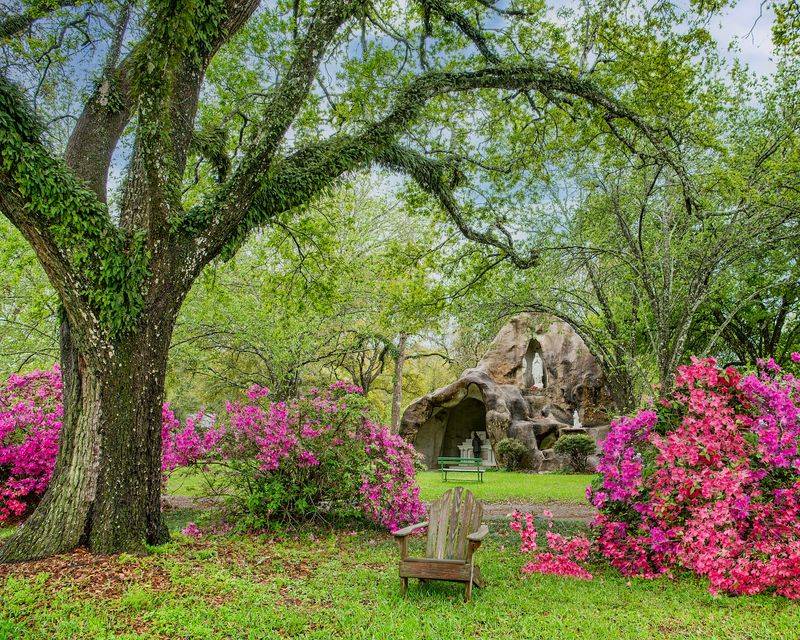 Oaks, Grotto, And A Dairy Barn