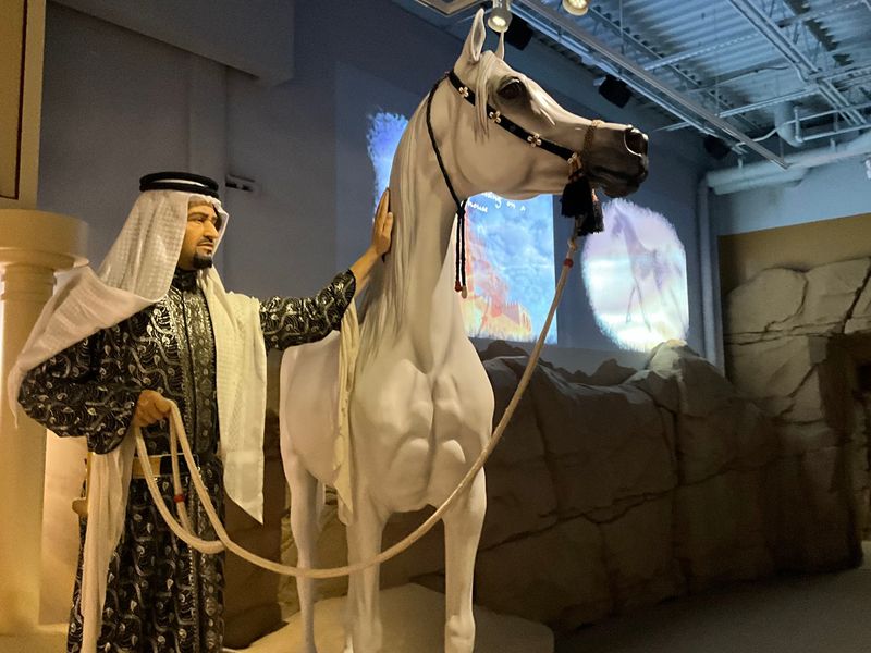 Travel The World Inside The Breeds Barn
