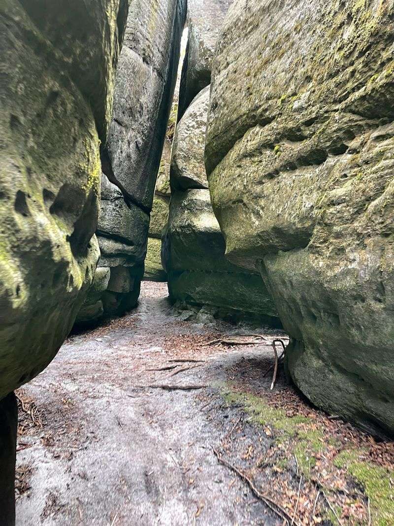 A Young Preserve Guarding Some Very Old Rocks