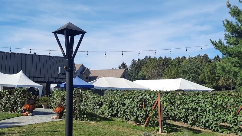 This Ohio Restaurant Hidden Inside An Apple Orchard Is A Fall Trip Worth Taking - Decor Hint Orchard Honey And Herbs Bring More Flavor To The Table
