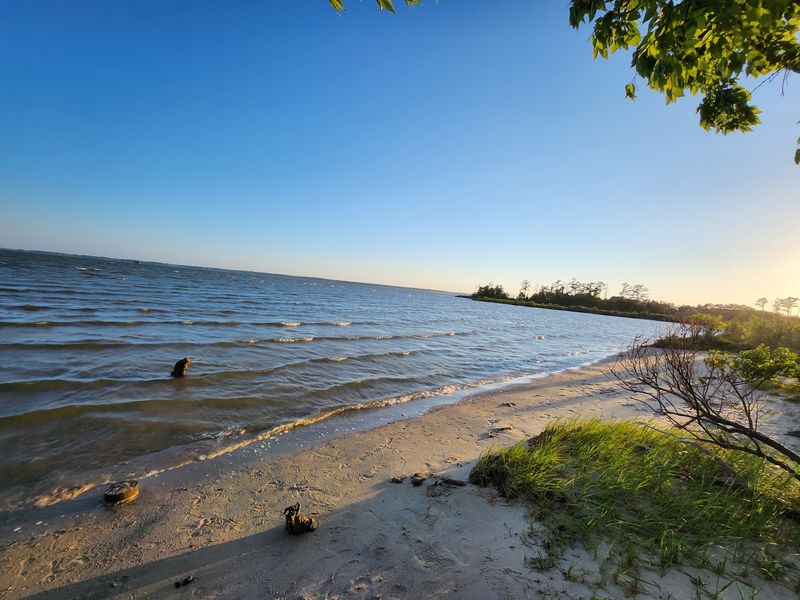 10 Virginia Bird Sanctuaries Where A Quiet Morning Can Turn Into Something Unforgettable - Decor Hint Belle Isle State Park, Lancaster