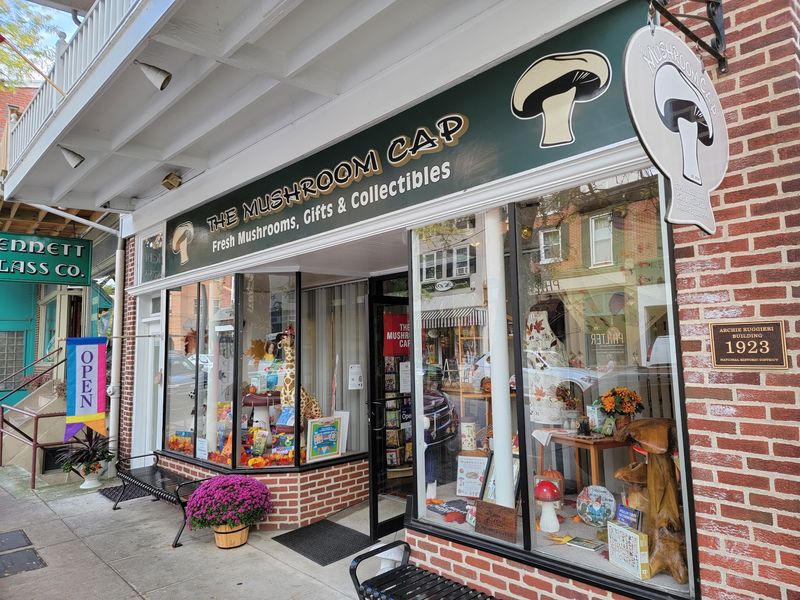 Plan A Relaxed Afternoon Around This Fungi Stop