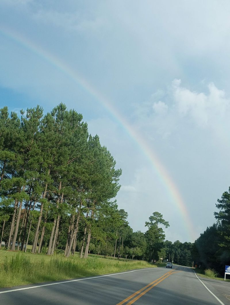 Take The Scenic Route And Let The Drive Become Part Of The Adventure