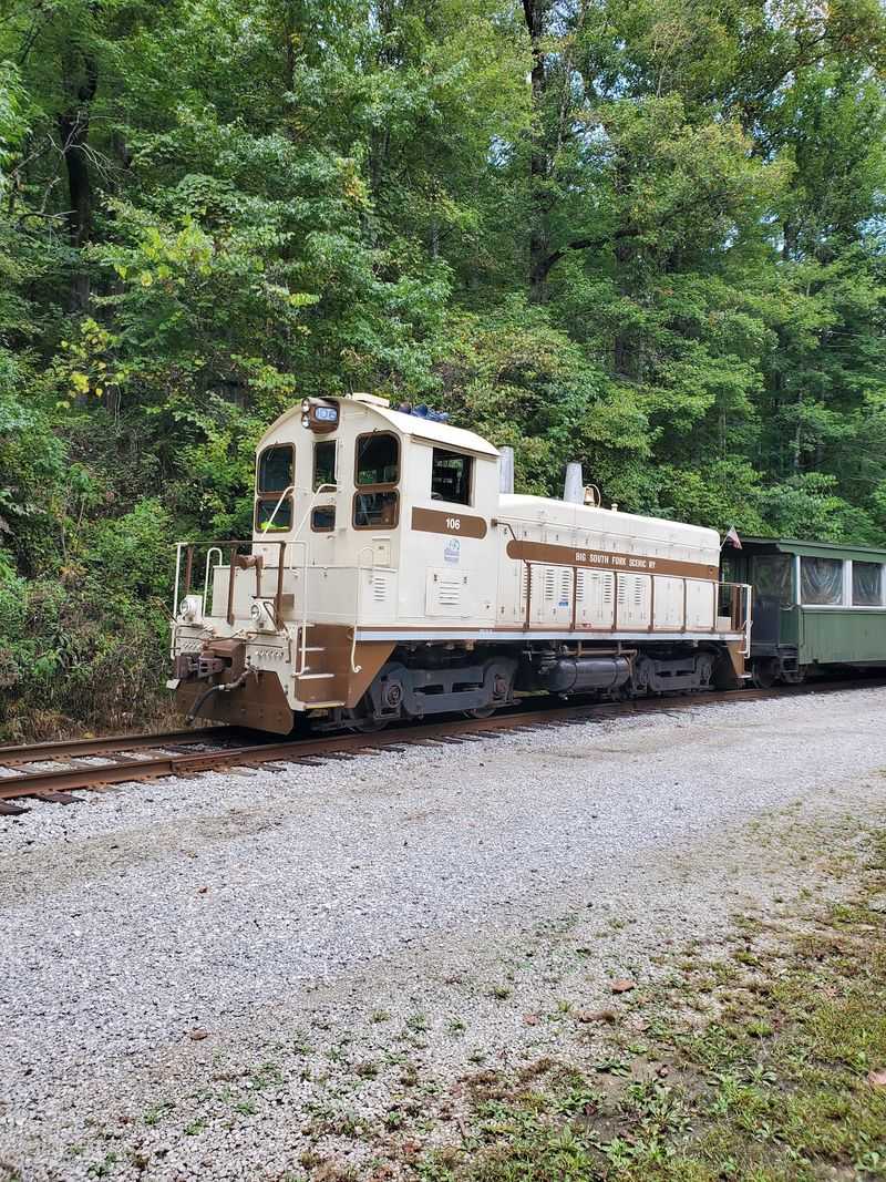 Rails Laid For Lumber And Coal