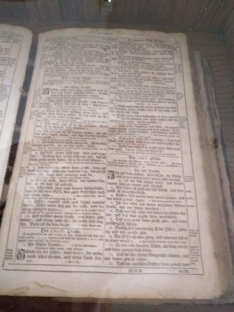 Family Tree Hunters Will Want To Head Downstairs