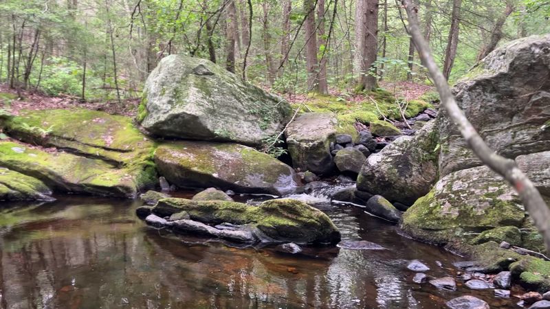 Mossy Rocks Give The Falls A Wild Look