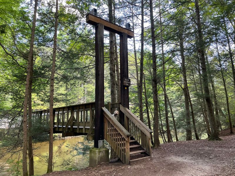 Sleep Beside The Shepaug Without A Single Wi-Fi Bar