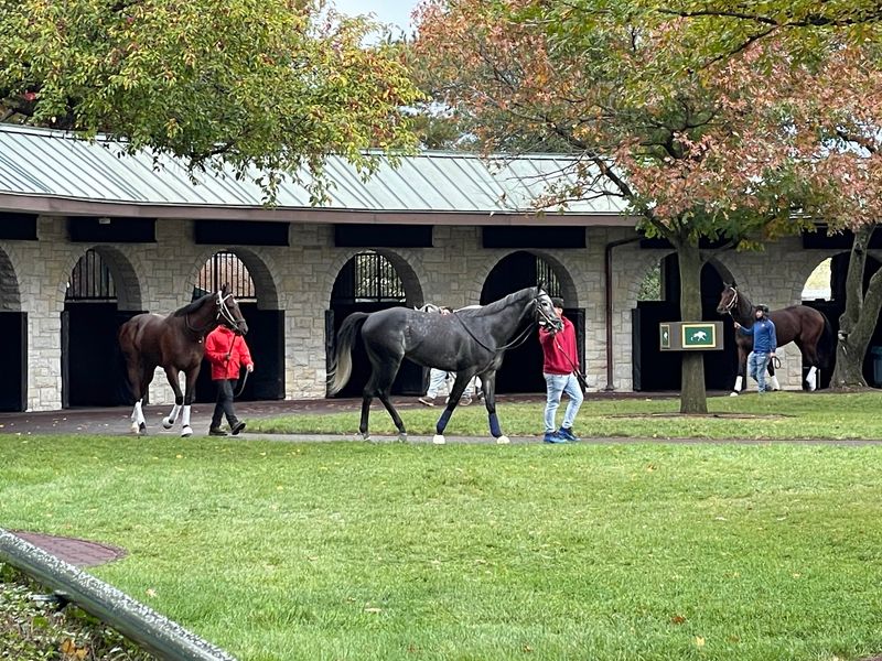 The World’s Best Racehorses Are Coming To Kentucky This Month, And You Can Watch Them In Person - Decor Hint Take A Tour And Peek Behind The Racing Curtain