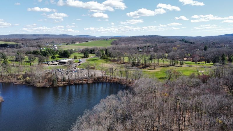 These 11 Connecticut Towns Have The Most Deer Collisions And Fall Is The Riskiest Season - Decor Hint Berlin