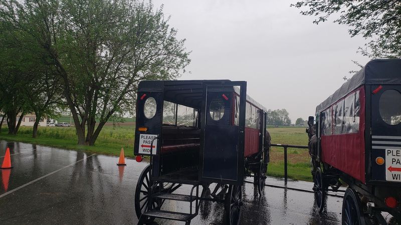 Corn Mazes, Wagon Rides, And Room For A Picnic
