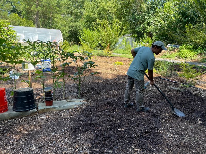Grab Gloves Because Volunteers Keep This Forest Growing