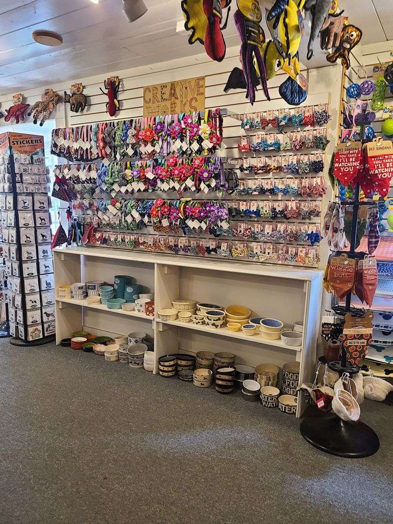 Cat And Dog Lovers Will Feel Right At Home In This Connecticut Gift Shop Filled With Adorable Finds - Decor Hint Bonnets, Bunnies, And A Very Good Cause