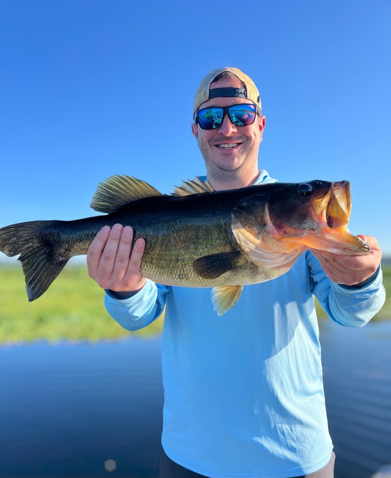 Largemouth Bass With Big Ambitions