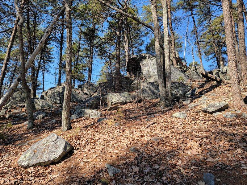Rocktop Trail, Gastonia