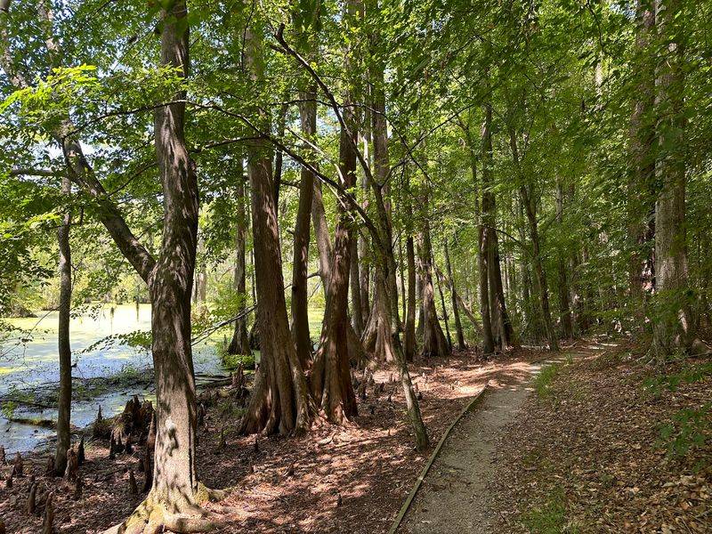 Lassiter Trail, Gatesville