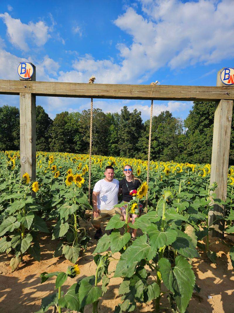 Sunflowers And Zinnias Stealing The Spotlight