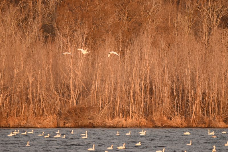 One Full-Day Adventure Heads Deep Into A Refuge Famous For Migrating Waterfowl