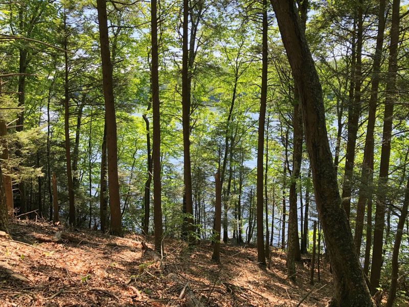 10 Hidden Connecticut State Parks Most Visitors Completely Miss - Decor Hint George Waldo State Park, Southbury