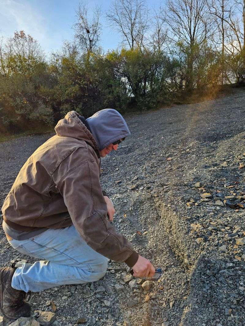 Little Explorers, Homeschoolers, And Grown-Up Rock Nerds