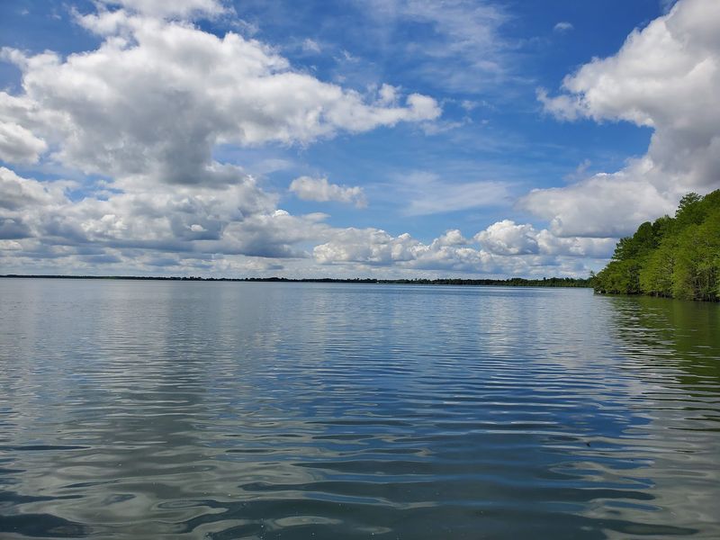 Phelps Lake