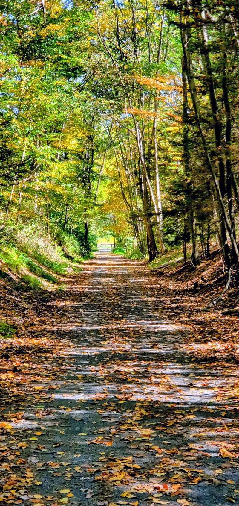 Ridges, Ravines, And A Slice Of The Appalachian Trail