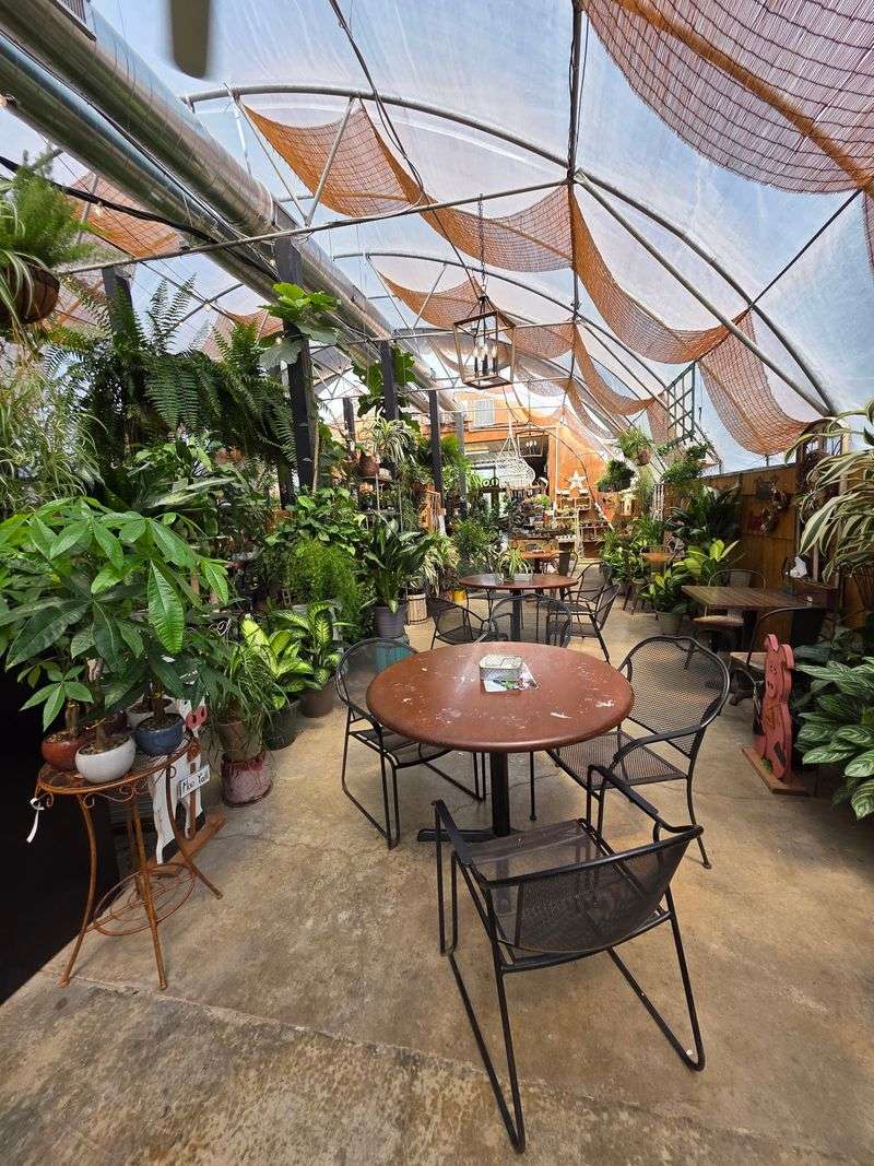 Scratch-Made Pizza Crust In A Garden Center Changes Everything