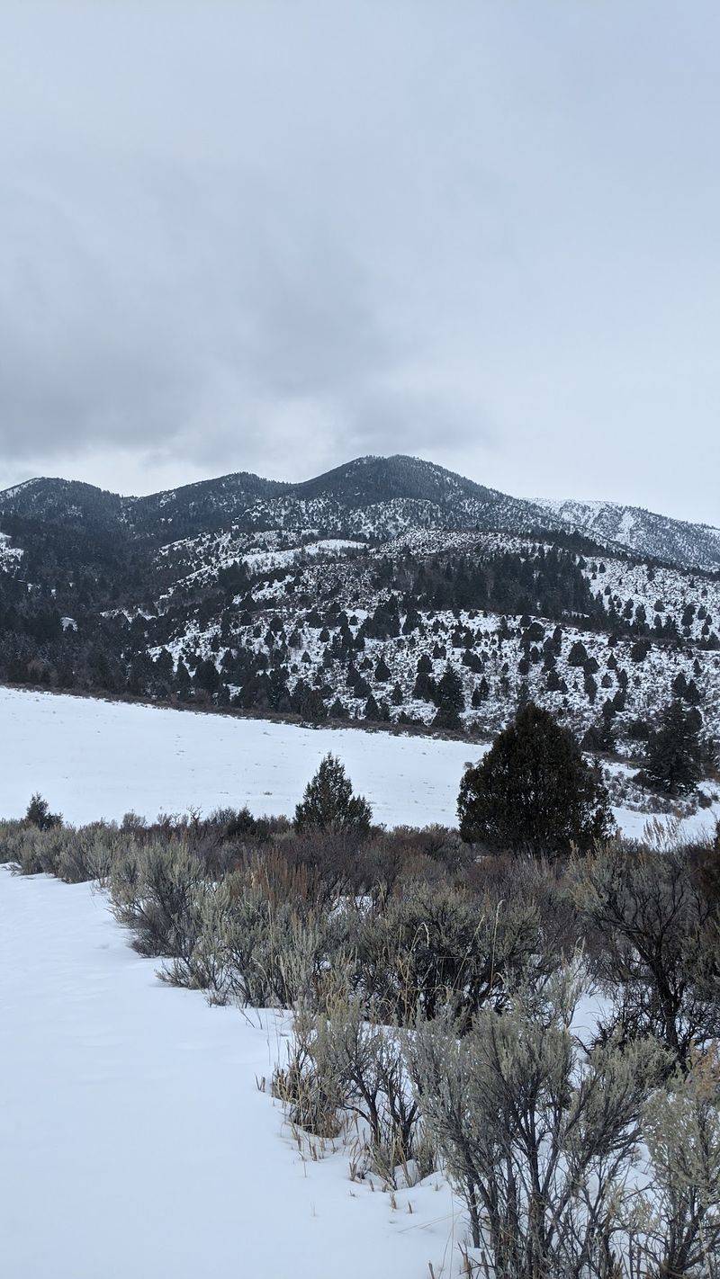 Snowshoe Trail To The Warming Hut