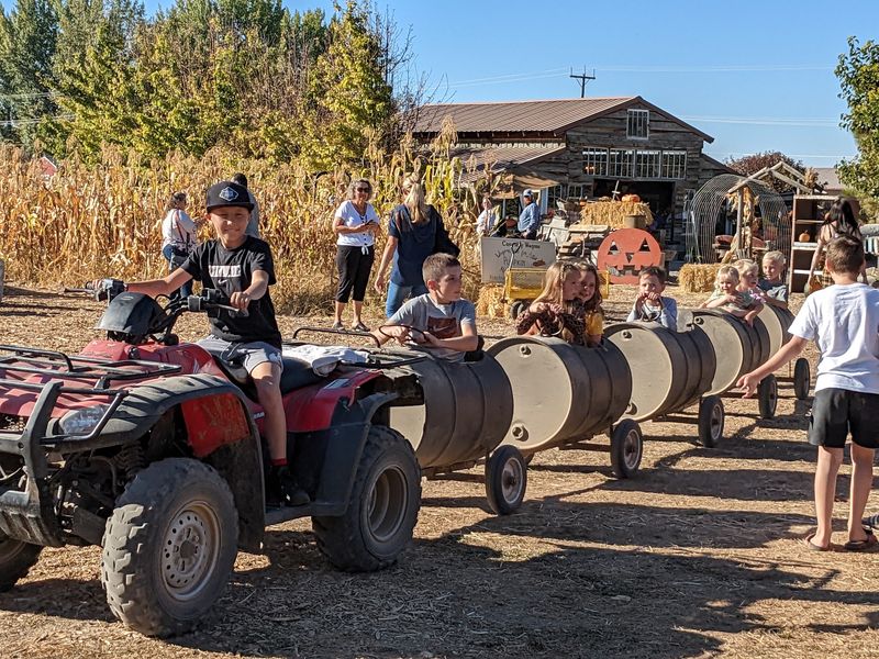 Kovick Kountry Farm In New Plymouth