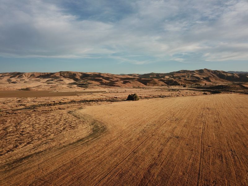 Coalinga