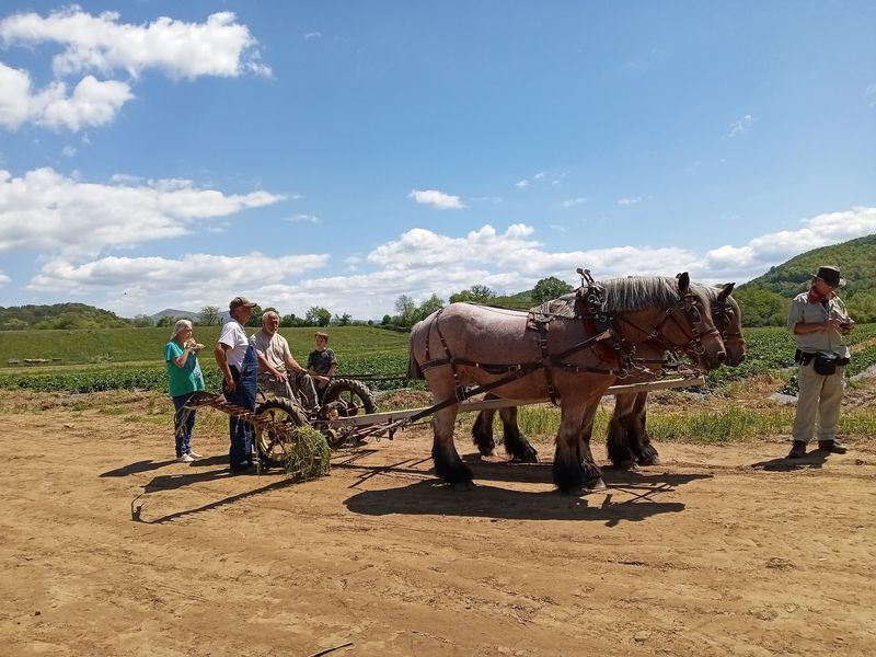 Kids Get A Playground, Parents Get A Breather